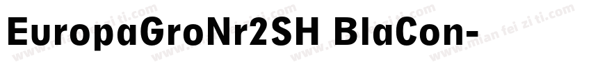EuropaGroNr2SH BlaCon字体转换